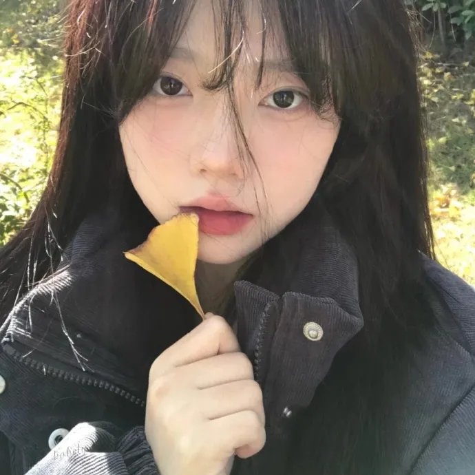 爱丽丝